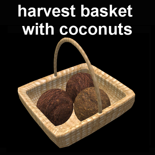 harvest basket with coconuts