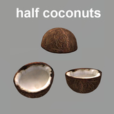half coconuts pack