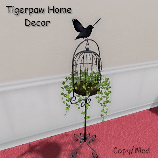 ~THD~ Birdcage plant