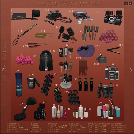 -David Heather-Hair Extensions