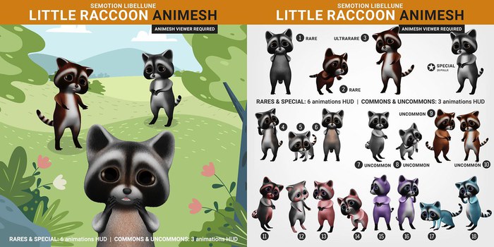 SEmotion Libellune Little Raccoon #17