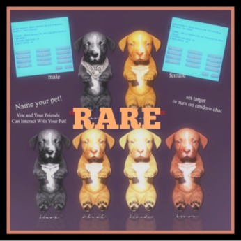 Second Life Marketplace - [Black Bantam] Male Pitbull Puppy - Red Nose RARE