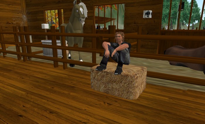 ヘイベール-MultiSit