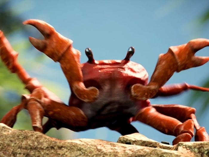 Crab Rave - Monstercat (Dancer)