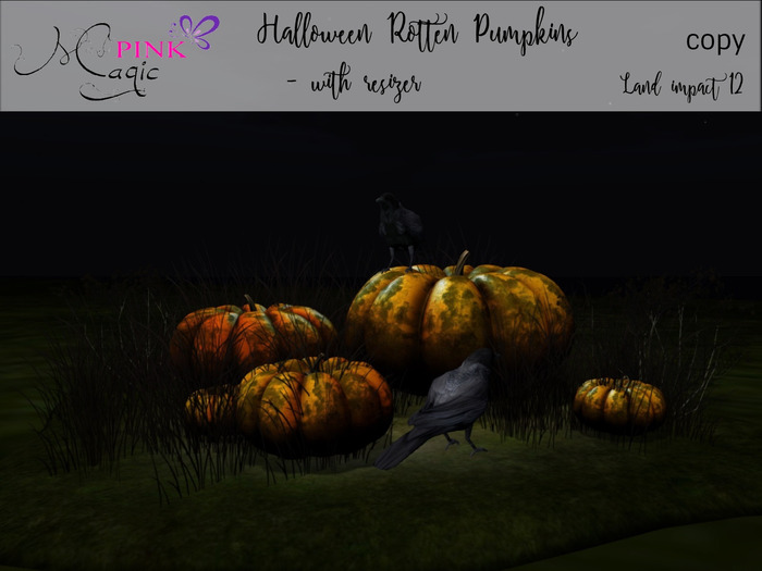 Pink Magic : Halloween rotten pumpkins
