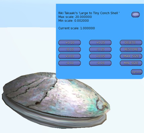 ~Large to Tiny Conch Shell MODEL*