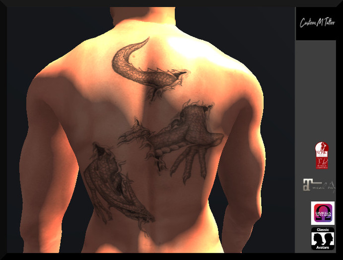 264 TattooMe dragon