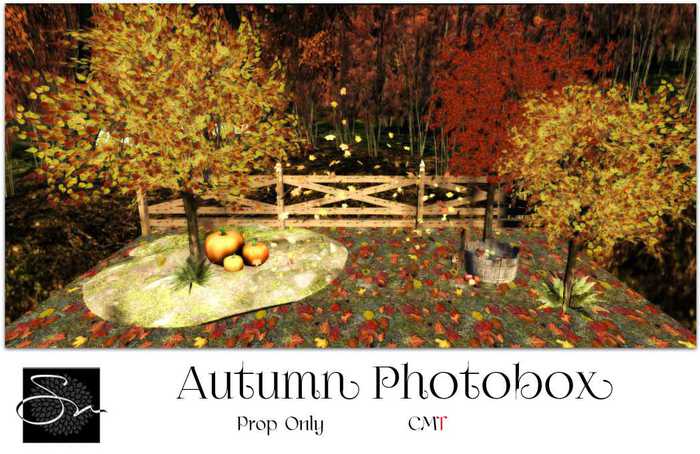 **SN~ Autumn Photobox
