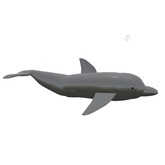 (7S) Rare Fish: Dolphin