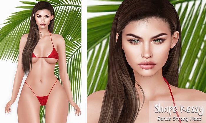 Shape Kessy (Genus Strong Head)