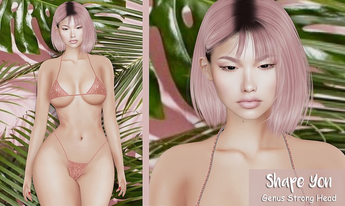 Shape Yon (Genus Strong Head)