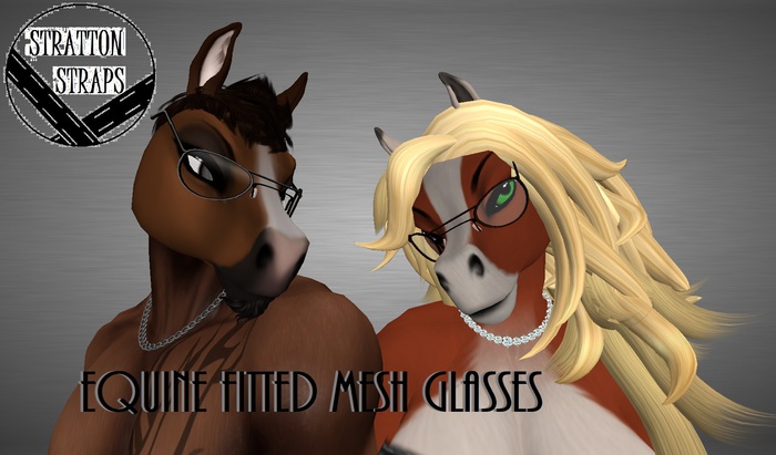 [STST] Equine Fitted Glasses (BOXED)
