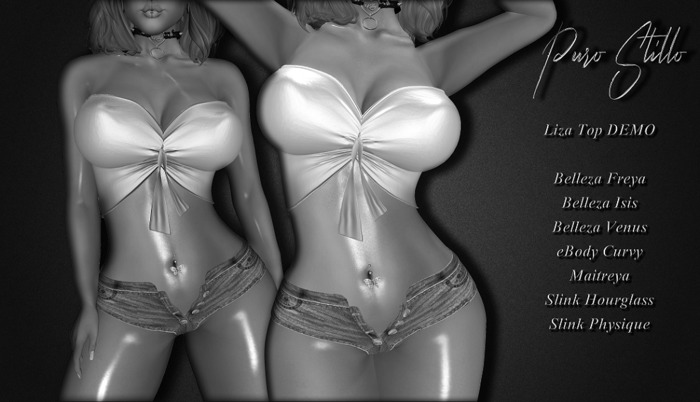 .::PS::.Liza Top - DEMO