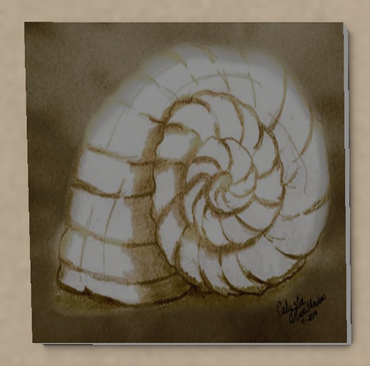 2019-07 Nautical Shell (boxed)