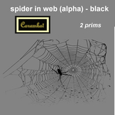 spider in web (alpha) - black