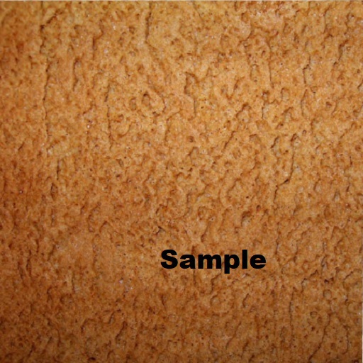 Cookie Plain Texture
