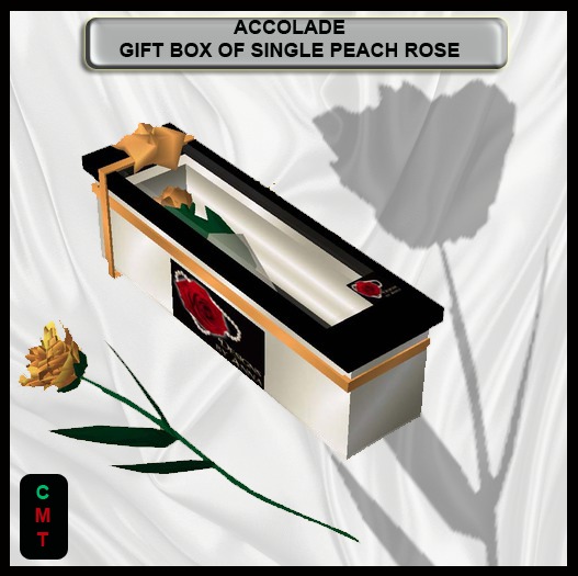 MP GIFT BOXED SINGLE ROSE IN PEACH