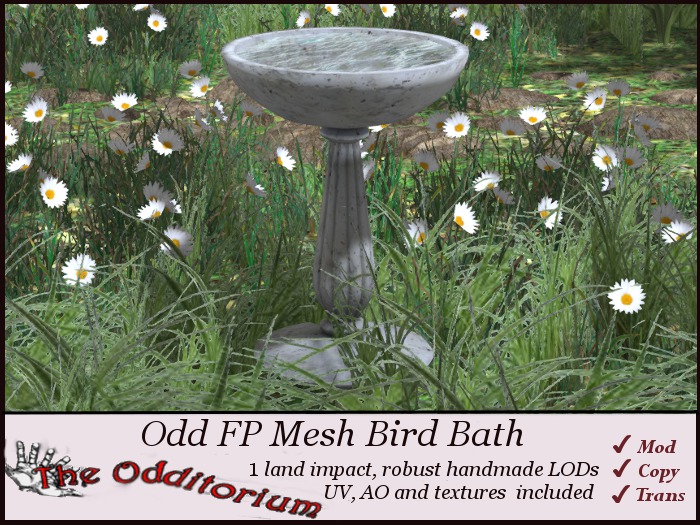 Odd Bird Bath Full Perm