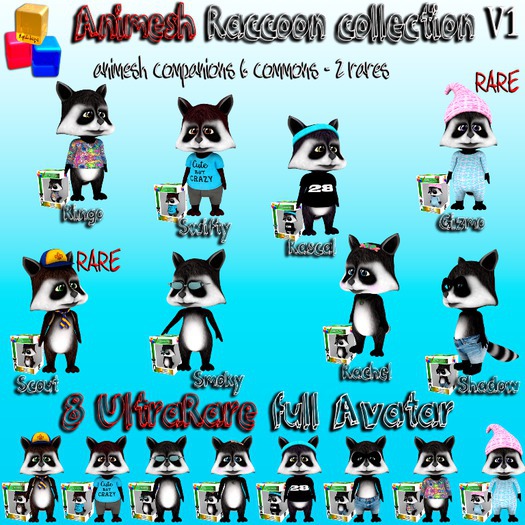 ~PD~ Animesh Raccoon collection V1 - Rachel (BOX)