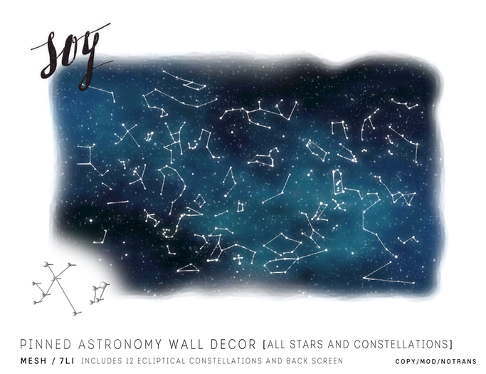 Soy. Pinned Astronomy Wall Decor [addme]