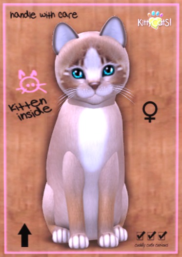 KittyCatS Box Normal - Girl 3