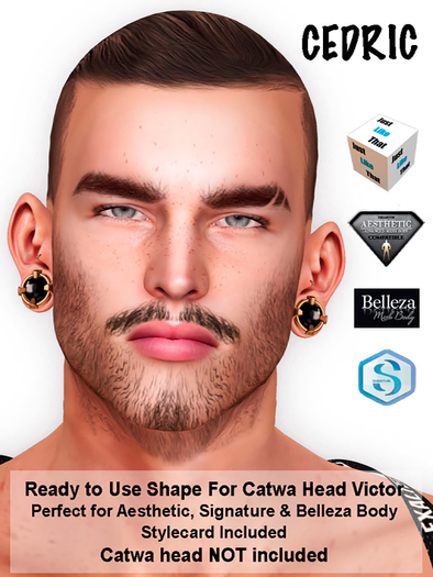 [JLT] - CEDRIC CATWA VICTOR SHAPE AESTHETIC SIGNAT & BELLEZA