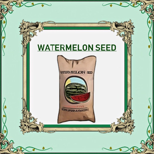 DFS WATERMELON SEED