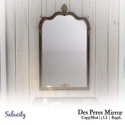 Salacity - Des Peres Mirror (add me)