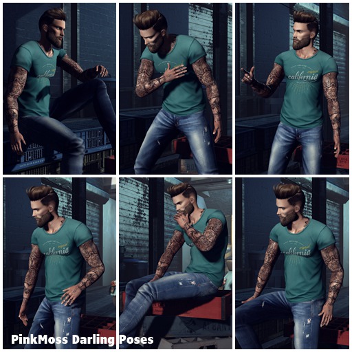 FATPACK PinkMoss Darling Poses/ Male