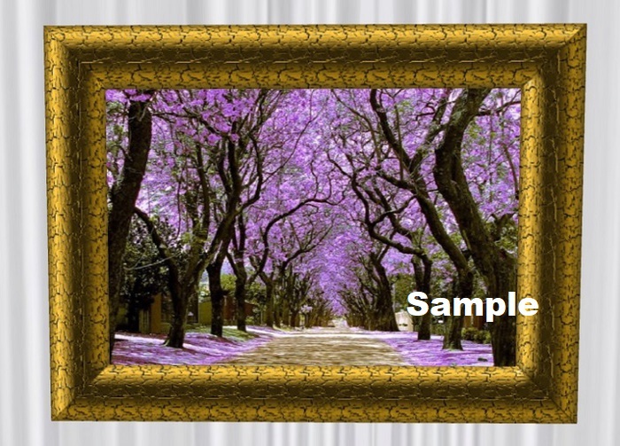 Jacaranda Trees Painting