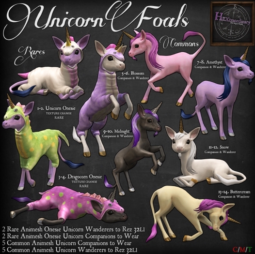 6. *HEXtraordinary* Unicorn Foal - Blossom Wanderer'