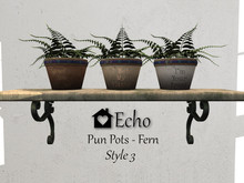 Echo - Pun Pots - Fern - Style 3 - Box