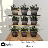 Echo - Pun Pots - Fern - Fatpack