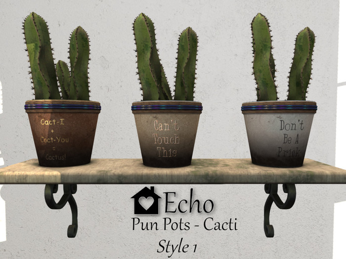 Echo - Pun Pots - Cacti - Style 1
