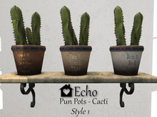 Echo - Pun Pots - Cacti - Style 1