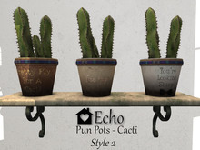 Echo - Pun Pots - Cacti - Style 2