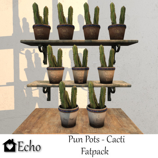Echo - Pun Pots - Cacti - Fatpack 