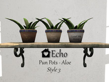 Echo - Pun Pots - Aloe - Style 3 - Box