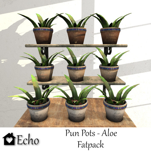 Echo - Pun Pots - Aloe - Fatpack - Box