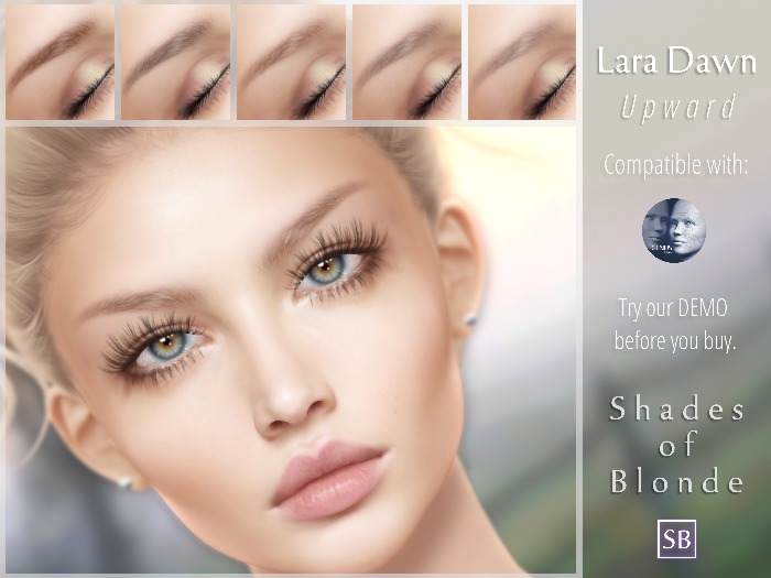 Eyebrows, Genus: LaraDawn.Upward.Blonde