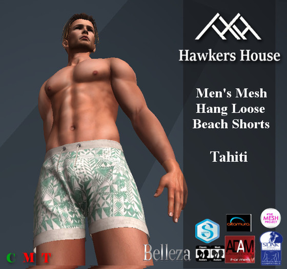 *HH* Men's Mesh Hang Loose Beach Shorts Tahiti