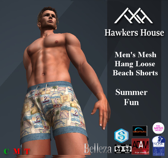 *HH* Men's Mesh Hang Loose Beach Shorts Summer Fun