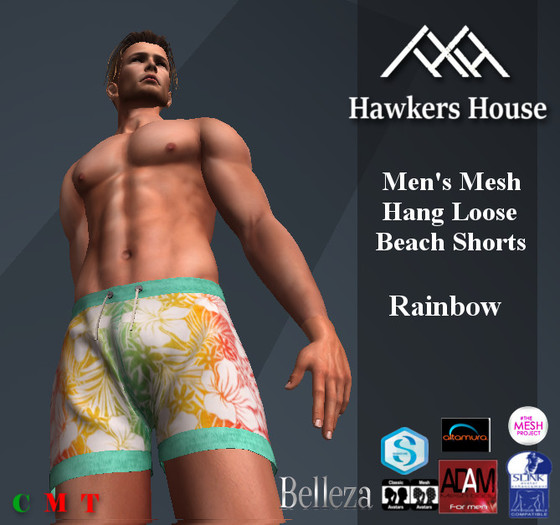 *HH* Men's Mesh Hang Loose Beach Shorts Rainbow
