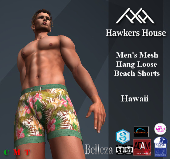 *HH* Men's Mesh Hang Loose Beach Shorts Hawaii