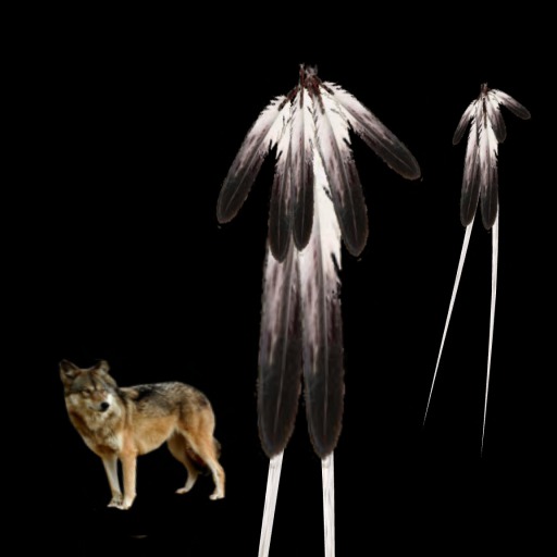 Feathers " Spirit Warrior" New