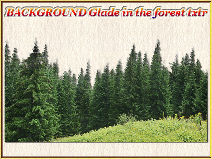 BACKGROUND Glade in the forest txtr