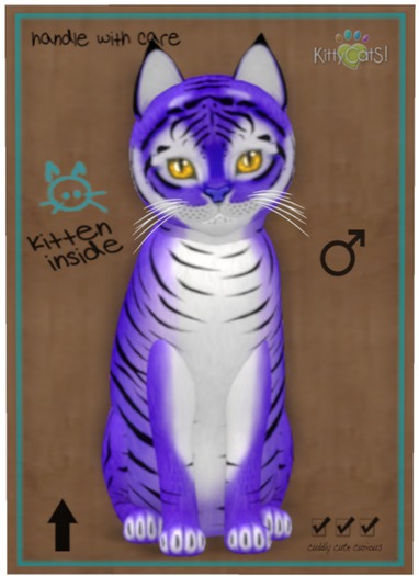 KittyCatS Box - Tiger! - Lavender