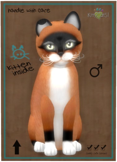 KittyCatS Box - Foxie - Red Mask