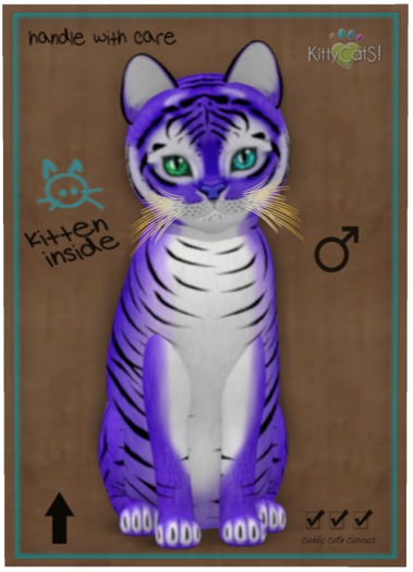 KittyCatS Box - Tiger! - Lavender