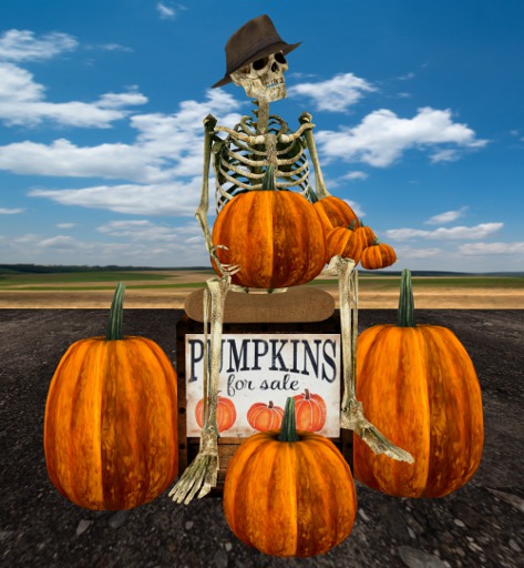 Old Bones Pumpkin Sale